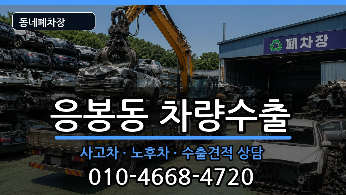 서울특별시성동구응봉동  차량수출 FAQ형