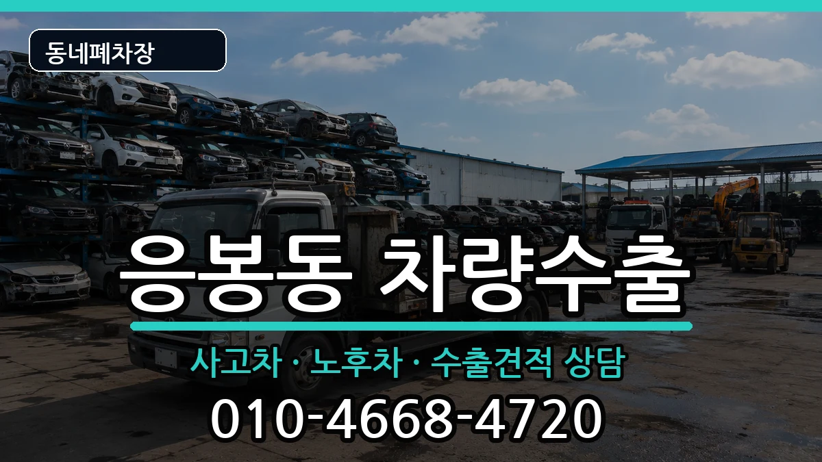 서울특별시성동구응봉동 차량수출 서울특별시성동구응봉동 차량수출 차량 처리 안내 이미지 1