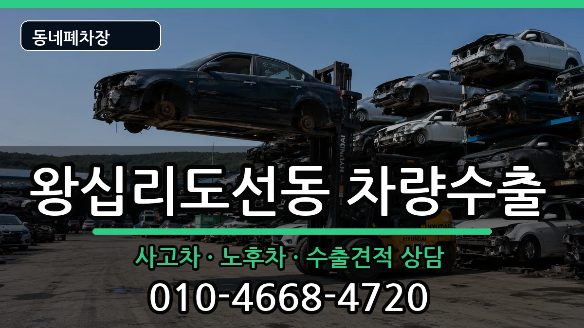 서울특별시성동구왕십리도선동 차량수출 서울특별시성동구왕십리도선동 차량수출 차량 처리 안내 이미지 2