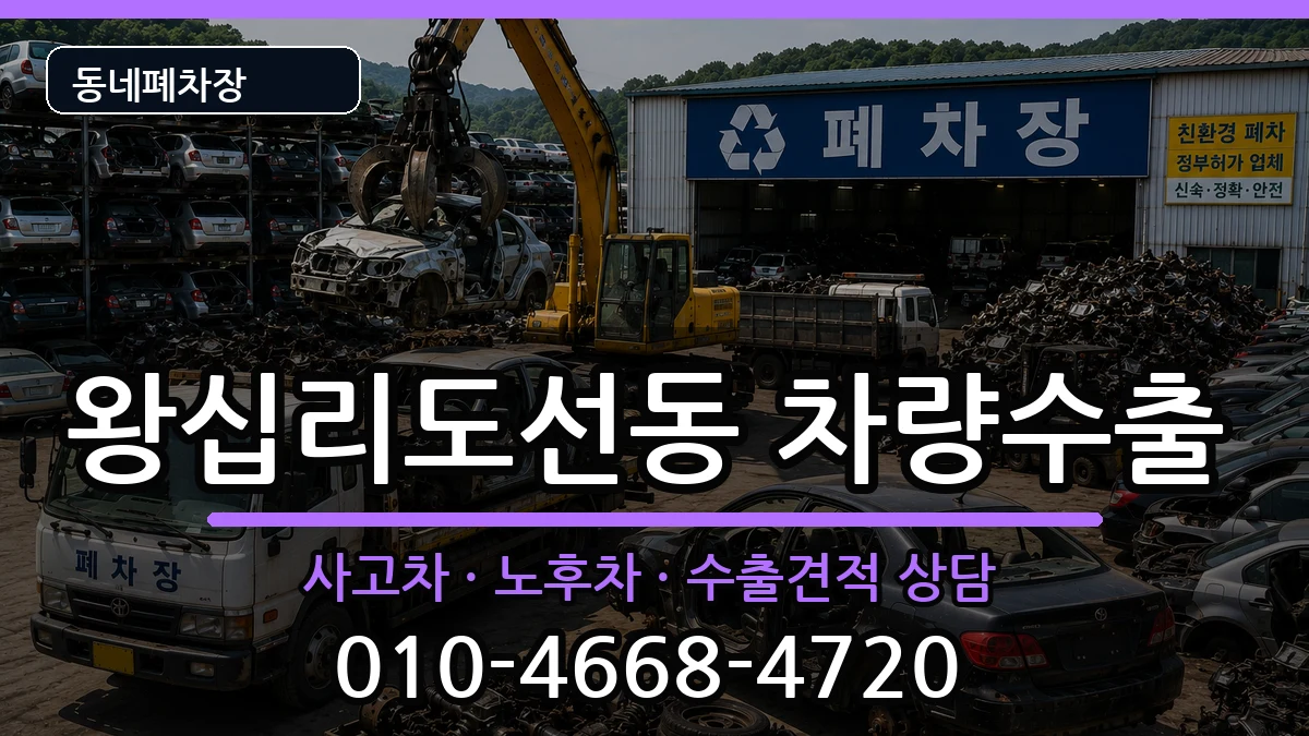 서울특별시성동구왕십리도선동  차량수출 정보형