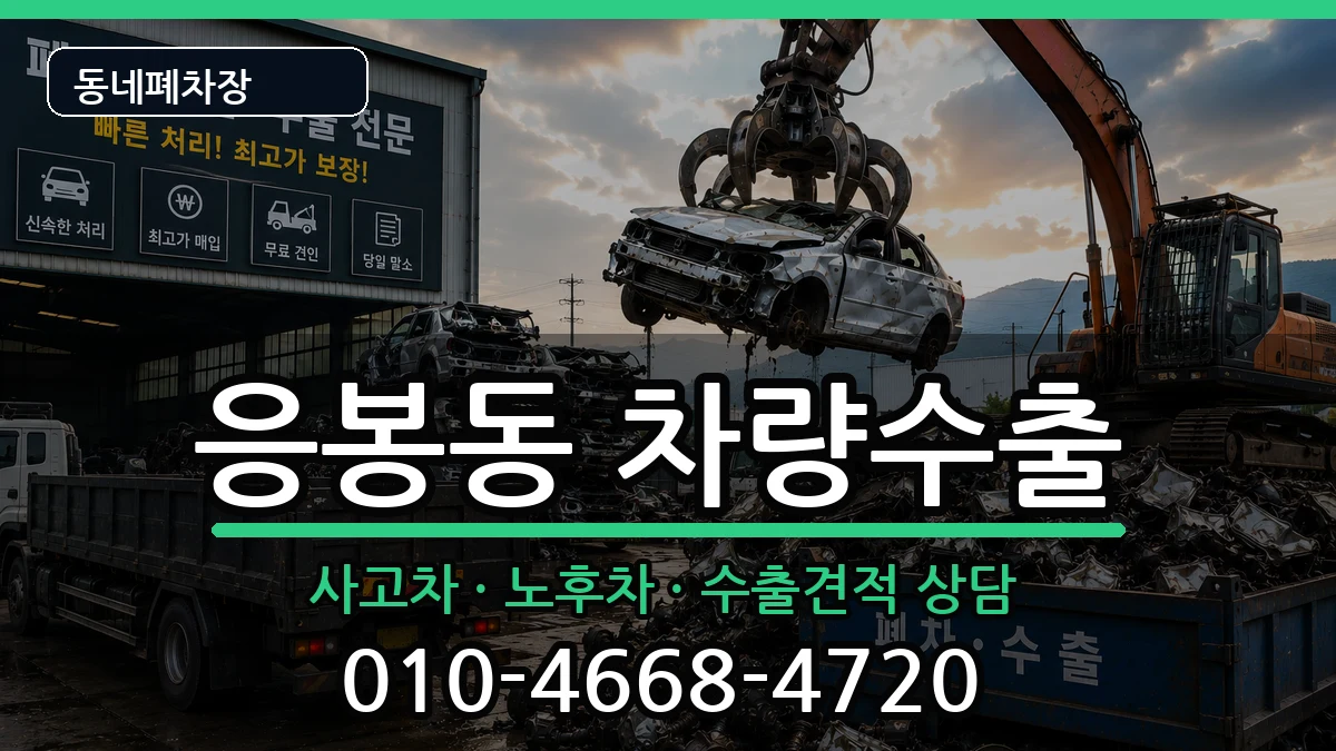 서울특별시성동구응봉동 차량수출 서울특별시성동구응봉동 차량수출 차량 처리 안내 이미지 2