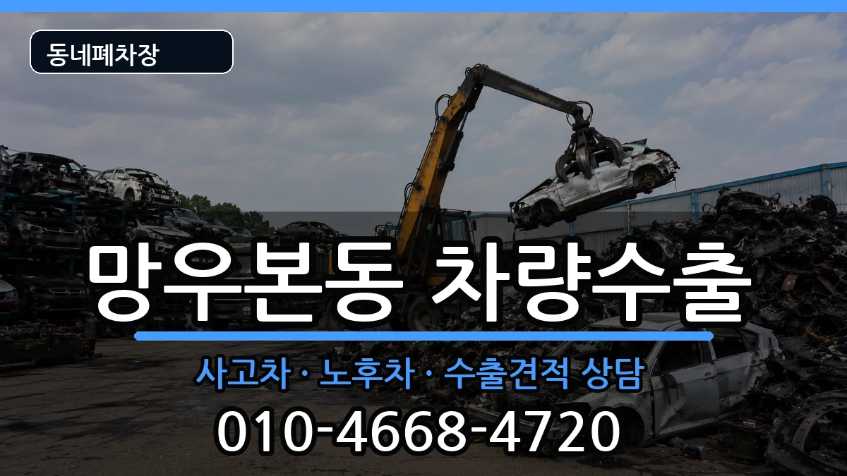 서울특별시중랑구망우본동  차량수출 서류형