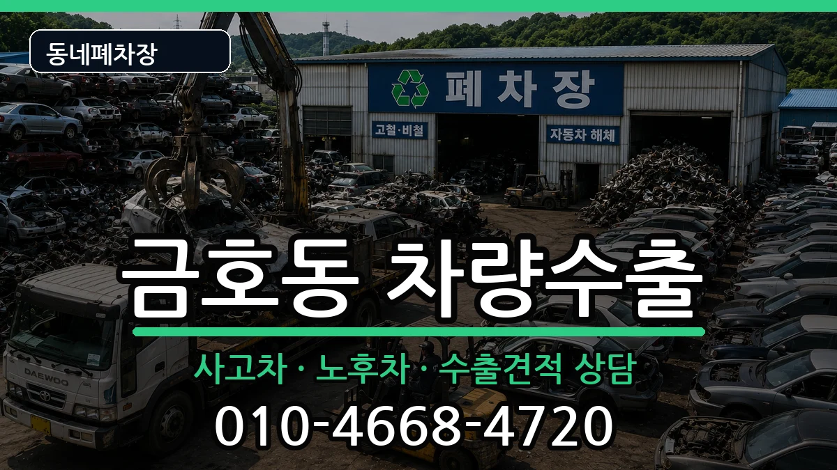 서울특별시성동구금호동  차량수출 정보형