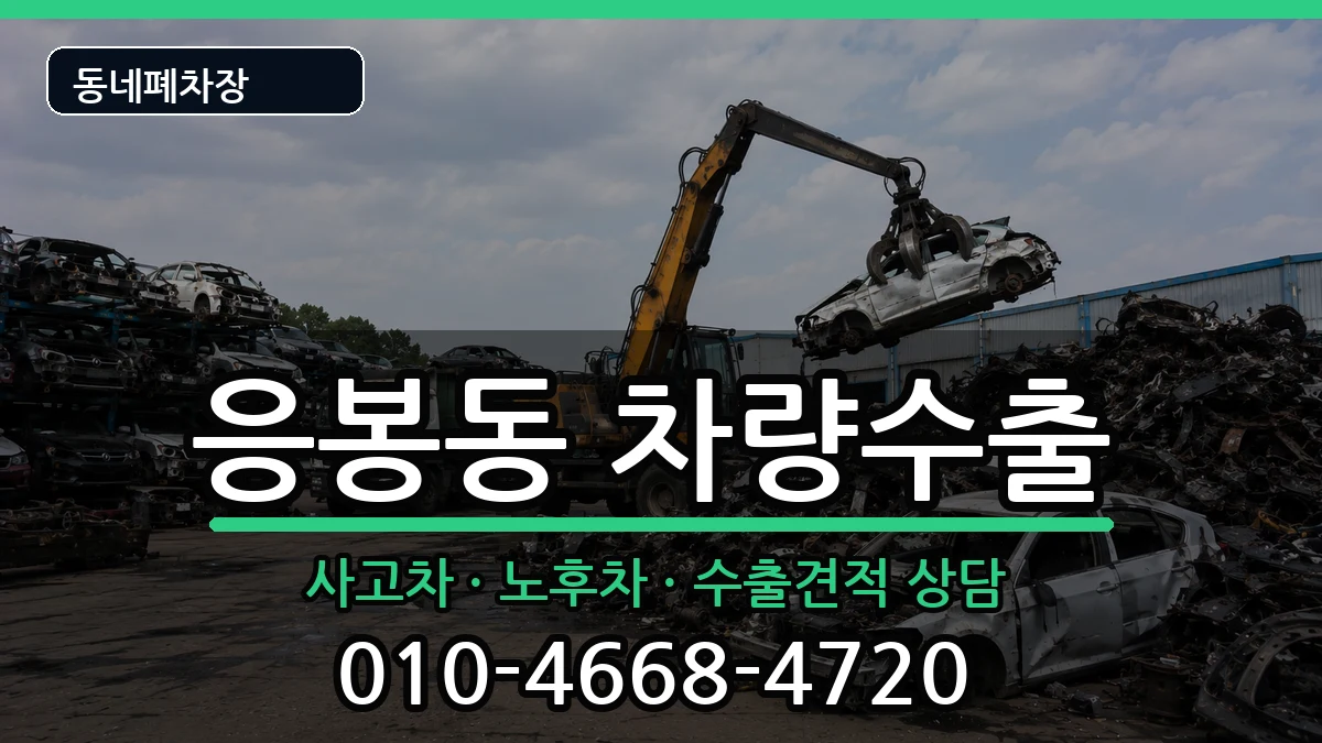 서울특별시성동구응봉동 차량수출 서울특별시성동구응봉동 차량수출 차량 처리 안내 이미지 3